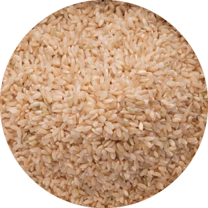 Ajara Ghansal Rice