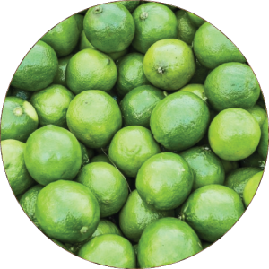 Akola Kagzi Lime