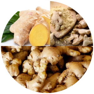 Arunachal Pradesh Adi Kekir (Ginger)