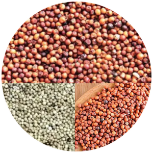 Arunachal Pradesh Angnyat Millet