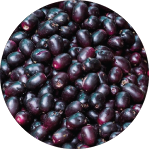 Bahadoli Jamun