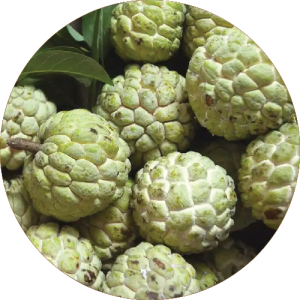 Beed Custard Apple