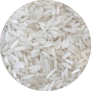 Bhandara Chinoor Rice