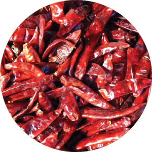 Bhiwapur Chilli