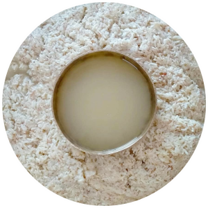 Bodo Maibra Jou Bidwi