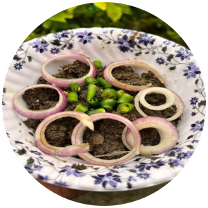 Bodo Napham - Fermented Fish