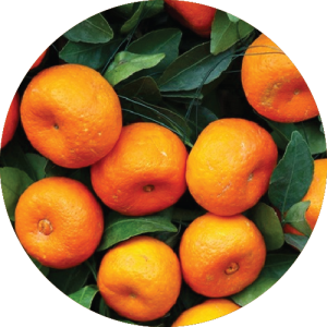 Jalna Sweet Orange