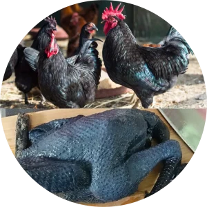 Jhabua Kadaknath Black Chicken Meat