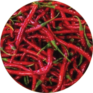 Nandurbar Mirchi (Chilli)