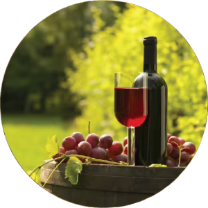 Nashik Valley Wine