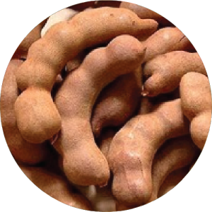 Panchincholi Tamarind