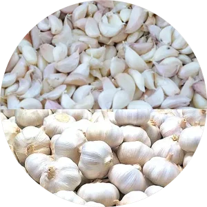 Ratlam Riyawan Lahsun (Garlic)