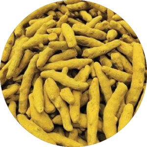 Sangli Turmeric