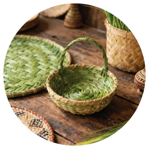 Sikki Grass Products of Bihar