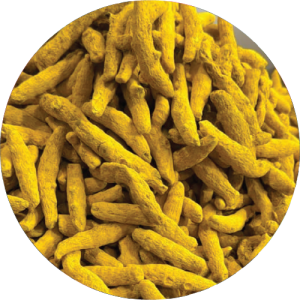 Vasmat Haldi Turmeric