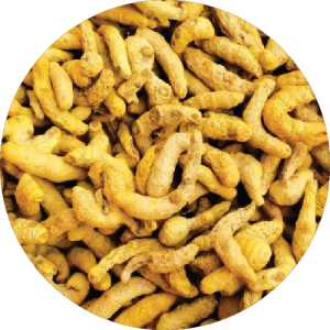 Waigaon Turmeric
